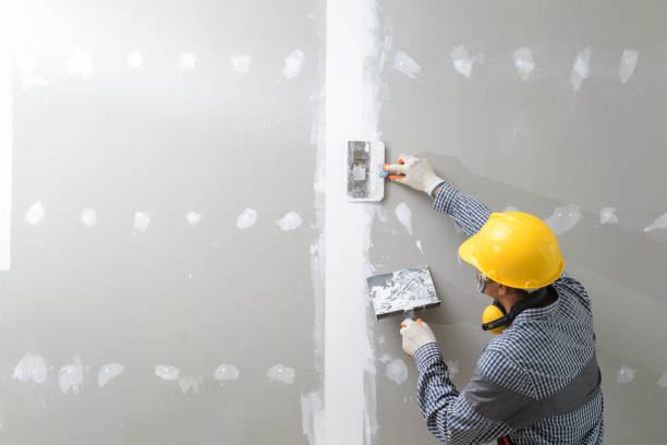 Reliable Dorr, MI Drywall & Painting Services Solutions